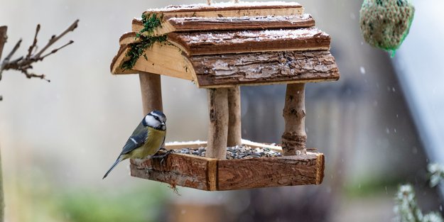 Vogelfreunde sind von diesem niedlichen Vogelfutterhaus von Amazon begeistert