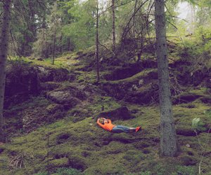 Warum du dieses Wochenende unbedingt einen Waldspaziergang machen solltest!