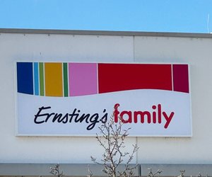 Farbenfroher Blütenzauber im Wohnzimmer: Hortensien-Kunstblumen von Ernsting's family