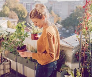 Gemüse anbauen: So gelingt es im Garten & auf dem Balkon