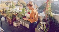 Gemüse anbauen: So gelingt es im Garten & auf dem Balkon