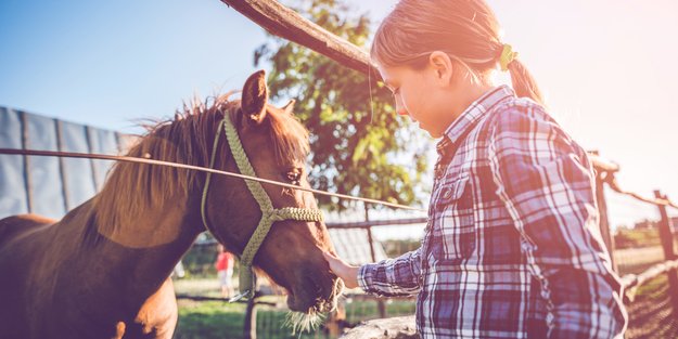 Ferien auf dem Reiterhof: So werden sie unvergesslich