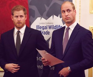 Nach Skandal-Interview: Harry & William sollen geredet haben – mit traurigem Ergebnis