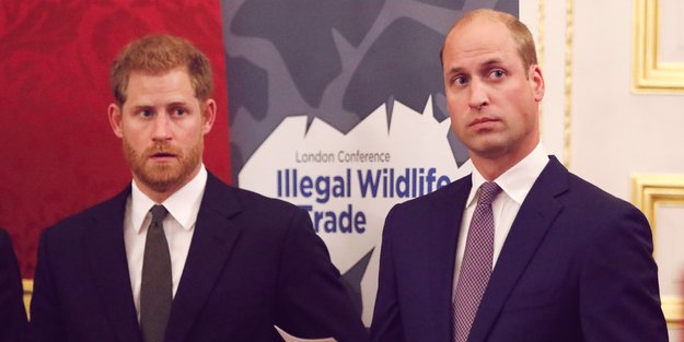 Nach Skandal-Interview: Harry & William sollen geredet haben – mit traurigem Ergebnis
