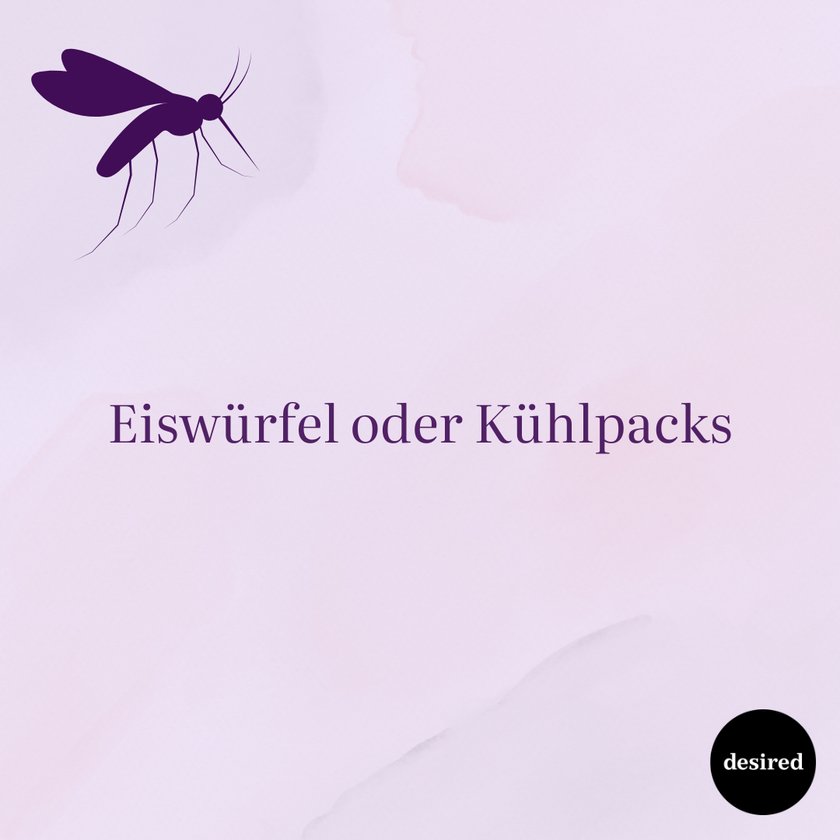 Was hilft gegen Mückenstiche