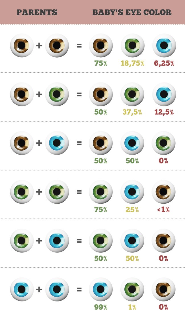 Baby Augenfarbe vorherbestimmen