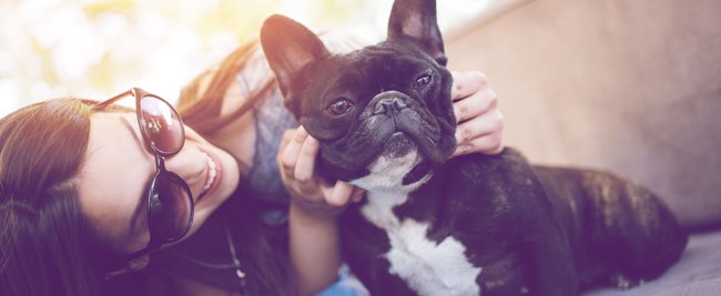 Quälende Hitze für Haustiere: Diese 8 Fehler solltest du unbedingt vermeiden!