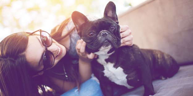 Quälende Hitze für Haustiere: Vermeide unbedingt diese 8 Fehler!