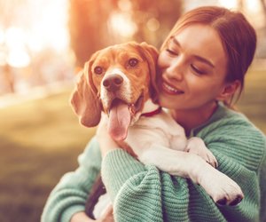 Die 9 besten Geschenke für Hundebesitzer