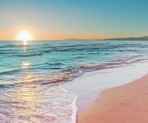 Lisha Savage: Wer ist der Freund des Reality-TV-Stars?