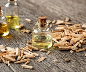 Zedernholz-Note: Dieses Parfum von Rossmann erinnert an einen heißen Sommertag