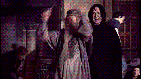 Dumbledore und Snape