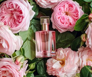 Das sinnliche Rossmann-Parfum mit blumiger Note, das jetzt alle verzaubert