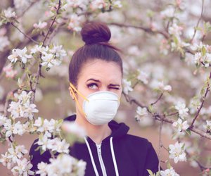 Erhöhtes Corona-Risiko: Warnung vor starkem Pollenflug
