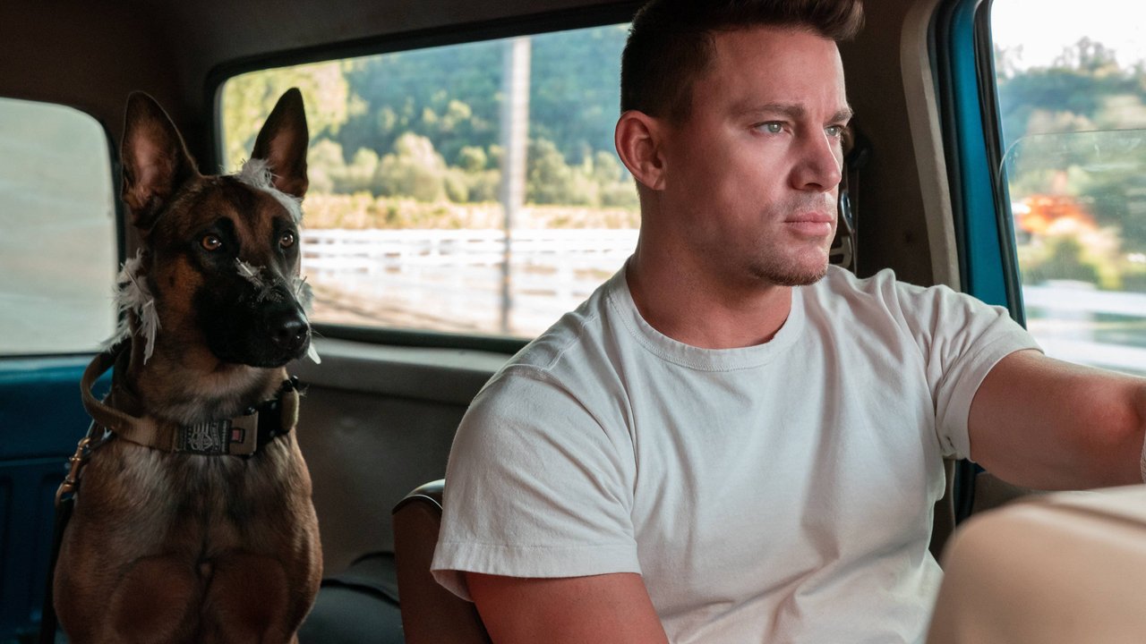 Jeder Neuanfang birgt schwere Entscheidungen und Herausforderungen.