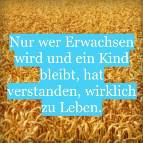 Download Landwirtschaft sprueche zum nachdenken Free HD