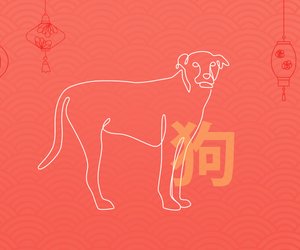 Chinesisches Sternzeichen Hund: Bedeutung und Eigenschaften