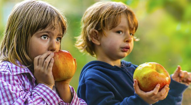 Gesunde Lebensmittel sind teuer. Diese Ernährung kann sich nicht jeder leisten. Das soll sich ändern Gesunde Lebensmittel sind teuer. Diese Ernährung kann sich nicht jeder leisten. Das soll sich ändern
