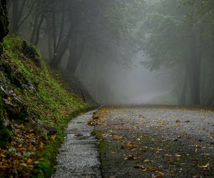 Wer Harlan Cobens Bücher liebt, muss diese Thriller lesen