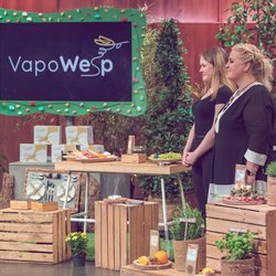 VapoWesp gegen Wespen: Was kann das gehypte „Die Höhle der Löwen“-Produkt?