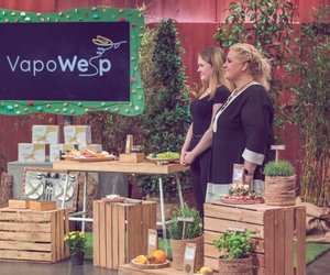 VapoWesp gegen Wespen: Was kann das gehypte „Die Höhle der Löwen“-Produkt?
