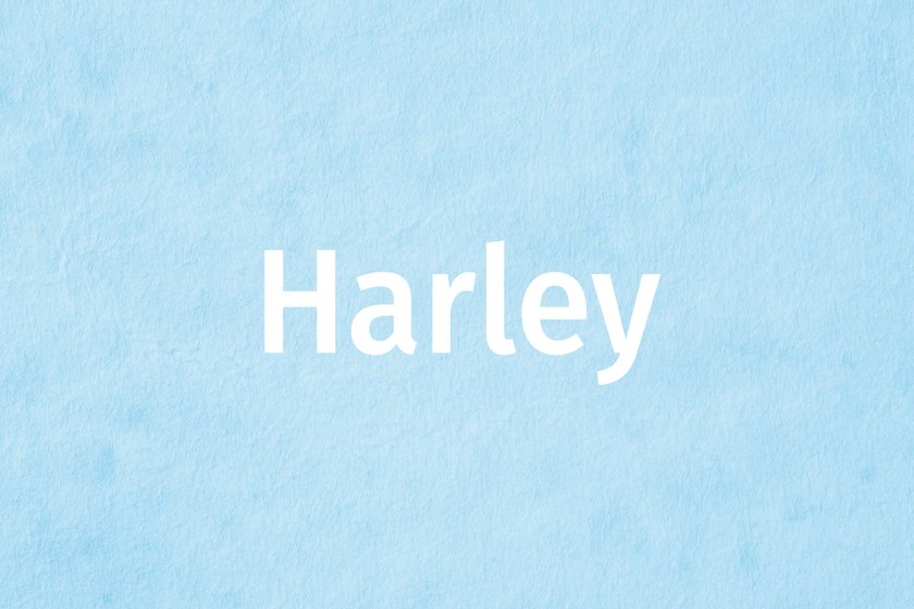 #33 Harley 