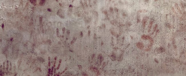 Als Sebastian Fitzek-Fan solltest du diese Thriller-Reihe unbedingt lesen