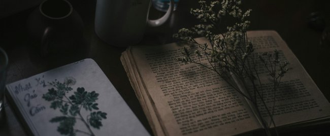 Dark Academia: 10 spannende Bücher, die du unbedingt lesen musst