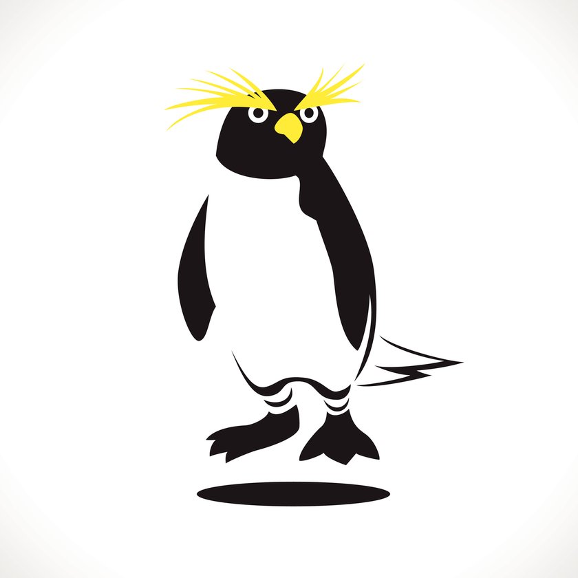 Pinguin-Tattoo Vorlage 8