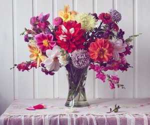 Diese Schnittblumen halten besonders lange in der Vase