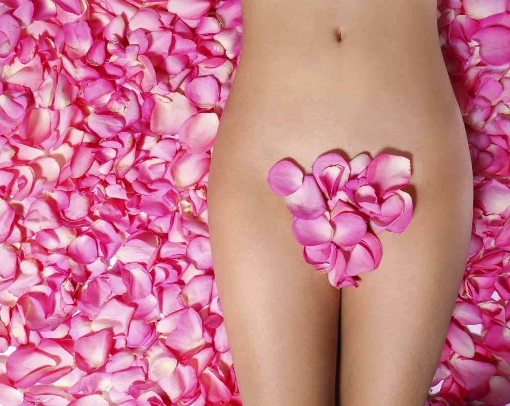 Petals of Pink Roses on woman's body. Concept of Waxing. Bikini Zone