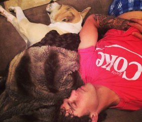 Ryan Sweeting mit Hund Norman. Ryan Sweeting mit Hund Norman.