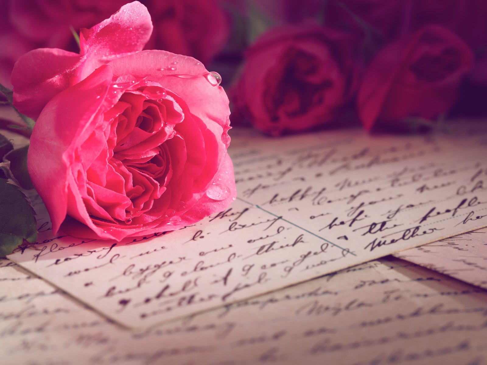 Einen perfekten liebesbrief schreiben