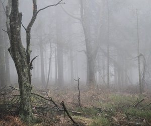 Aufregende Adventszeit: Schnapp dir diesen Adventskalender mit dem neuen Fitzek-Thriller