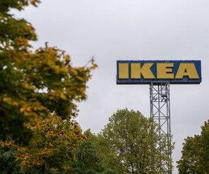 Kreativer Ikea-Hack: Dieses Spielzeug für Hunde ist echt niedlich