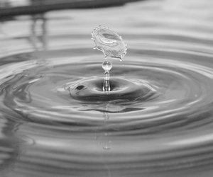 Wasser – Das Lebenselixier