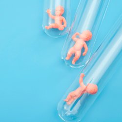 Embryonenschutzgesetz: Diese Rechte gelten schon für Embryos!