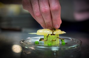 Insekten essen Insekten essen