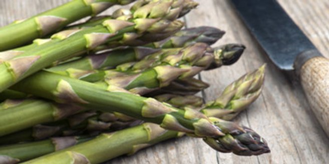 Eine vegetarische Lebensweise kann sich auch auf die Psyche auswirken. Eine vegetarische Lebensweise kann sich auch auf die Psyche auswirken.