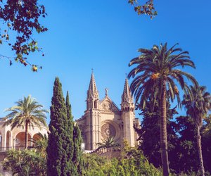 Kurztrip nach Mallorca: So holst du das Beste aus nur wenigen Tagen heraus