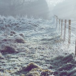 Krasser Temperatursturz: Hier wird es in den nächsten Tagen eisig kalt!