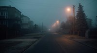 Dieser Harlan-Coben-Thriller zeigt, wie schnell die heile Welt eines Familienvaters zerstört werden kann