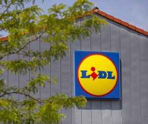 Ordnung im Außenbereich leicht gemacht: Hol dir die praktische Gartenbox von Lidl