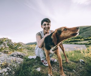Wanderabenteuer in Bayern: Auf diesen Touren entdecken dein Hund und du die Natur!