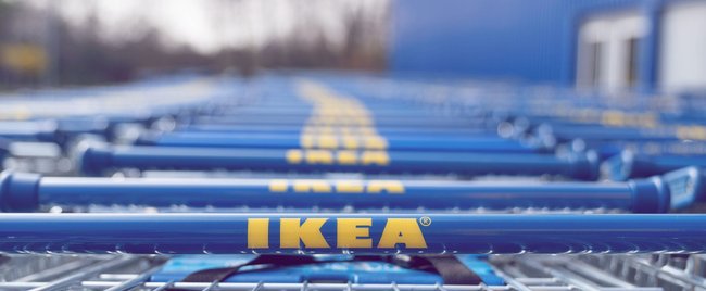 Bei Ikea bekommst du diese wunderschöne Deko zum kleinen Preis