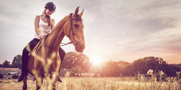 Kalorienverbrauch beim Reiten: So anstrengend ist Reiten wirklich!