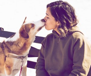 Menschen mit diesen 3 Sternzeichen lieben Hunde deutlich mehr als Menschen