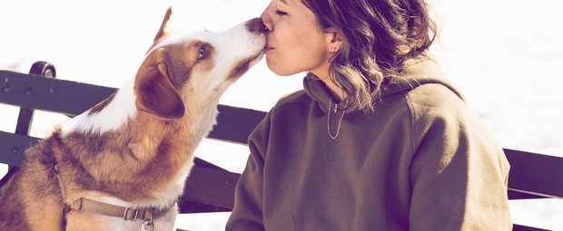 Der beste Freund des Menschen: Diese Sternzeichen lieben Hunde über alles