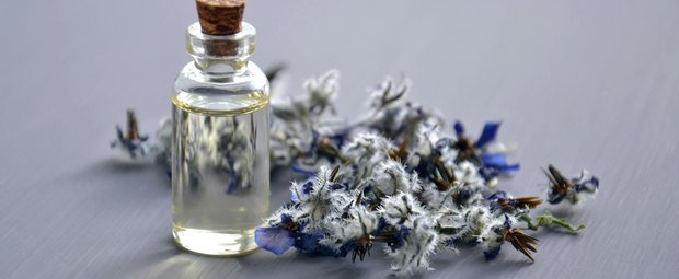 Dese 5 Pheromon-Parfums schnappen sich alle für den Sommer