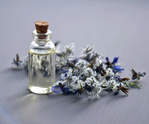 Diese 5 Pheromon-Parfums sind perfekte Sommerdüfte